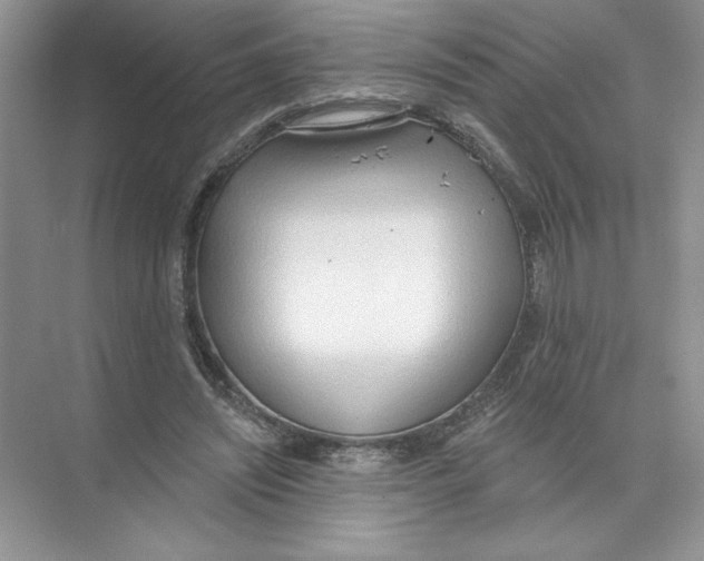 X0000074300444200609222339