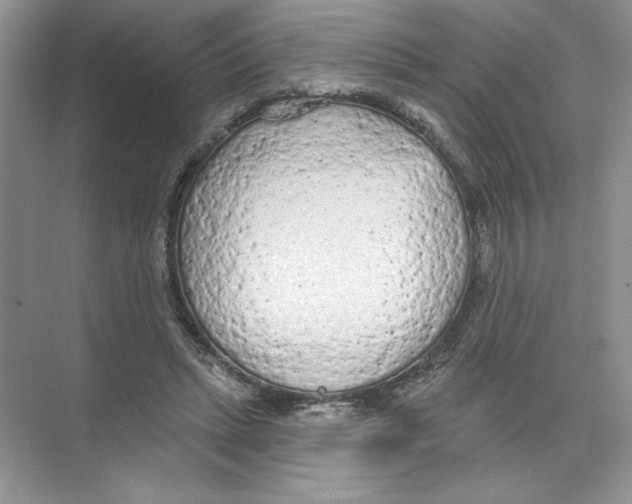 X0000074300447200609222339