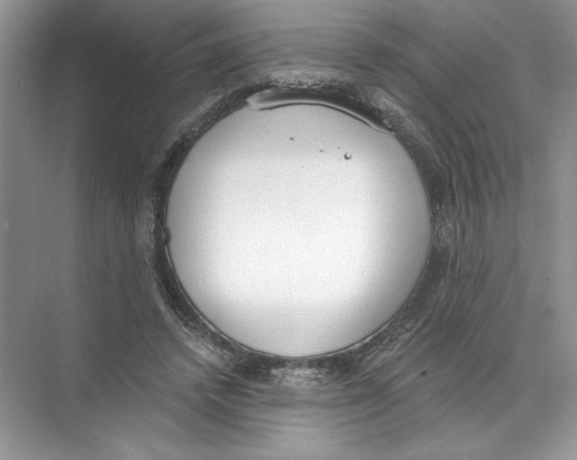 X0000074300448200609222339