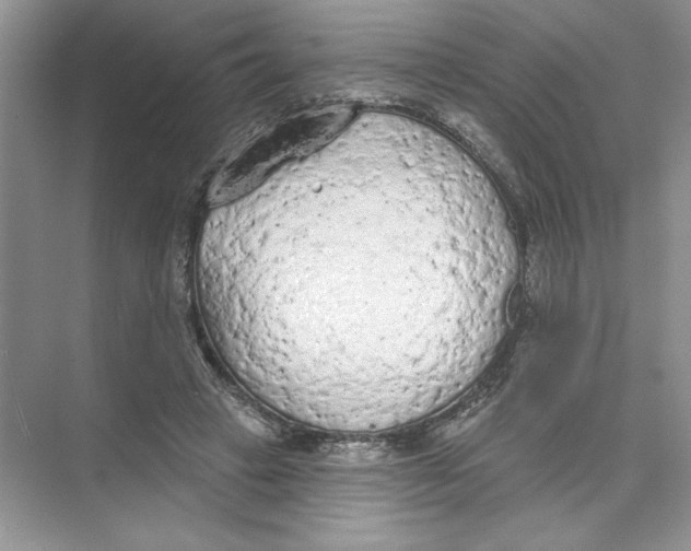 X0000074300449200609222339