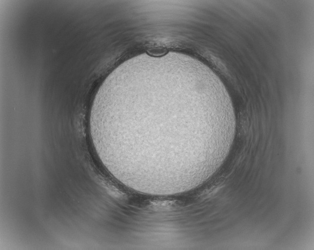 X0000074300450200609222339