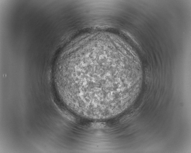 X0000074300451200609222339