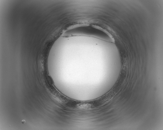 X0000074300452200609222339