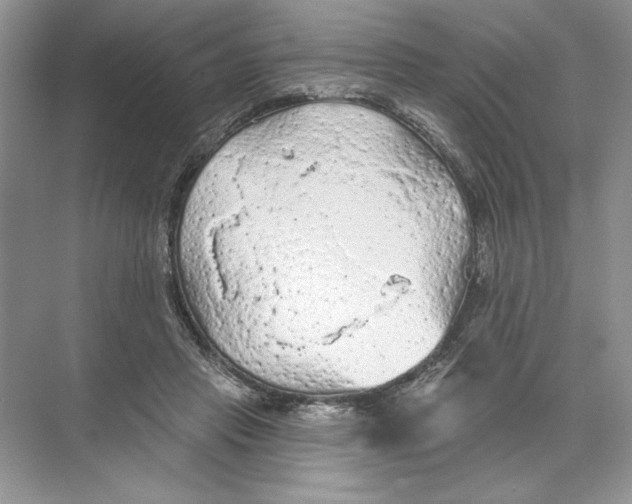 X0000074300453200609222339