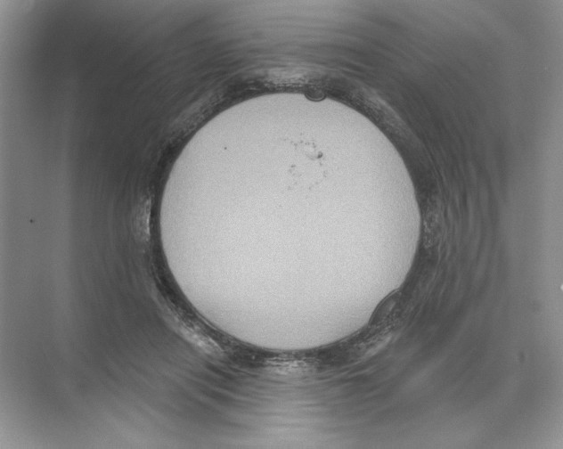 X0000074300454200609222339