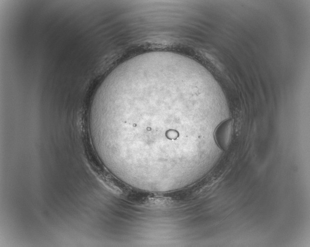 X0000074300455200609222339