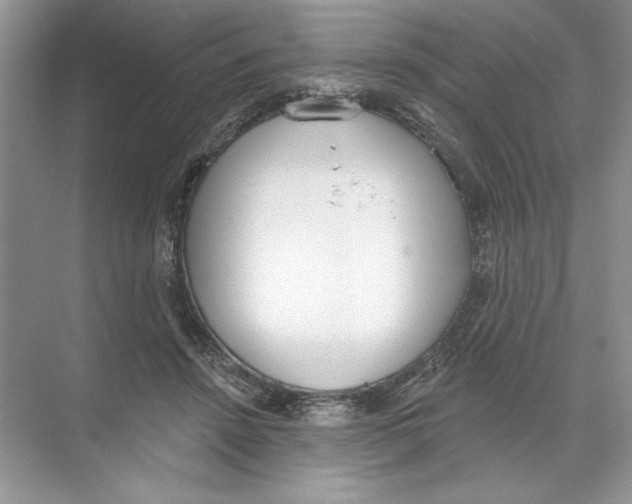 X0000074300456200609222339