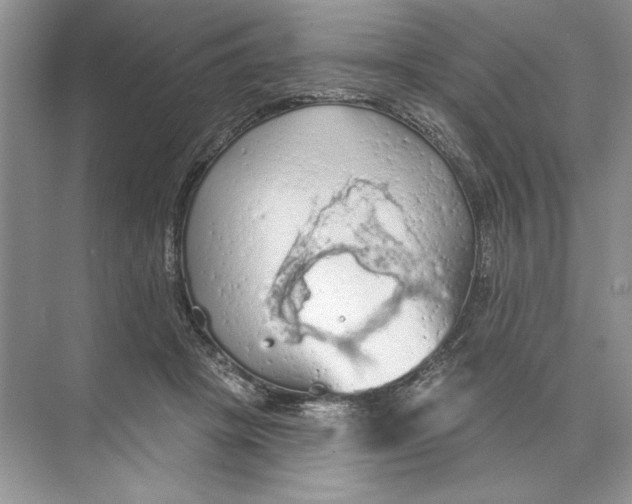 X0000074300457200609222339