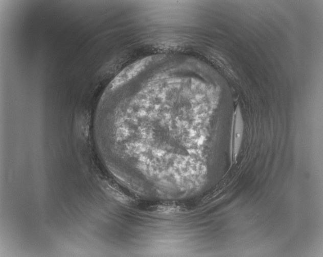 X0000074300458200609222339