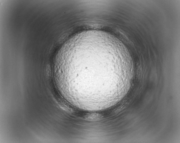 X0000074300459200609222339