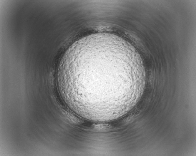 X0000074300461200609222339