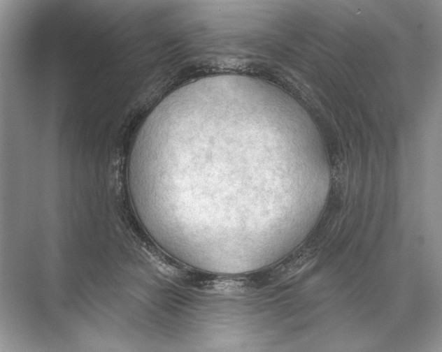 X0000074300462200609222339