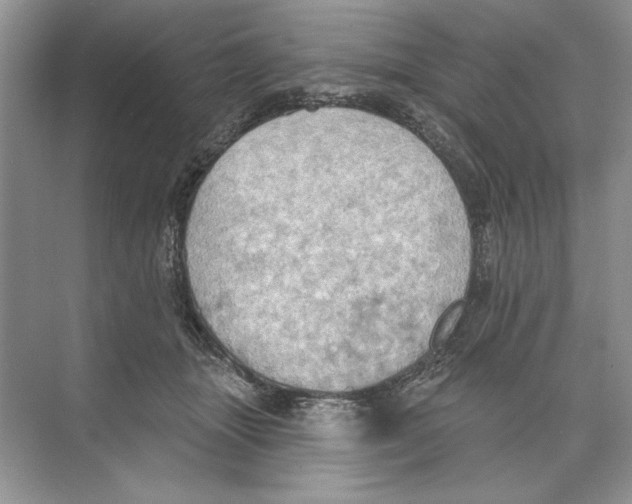 X0000074300463200609222339