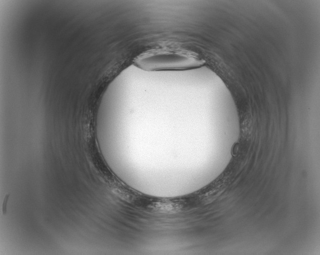 X0000074300464200609222339