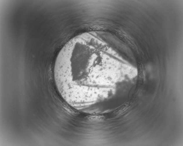 X0000074300465200609222339