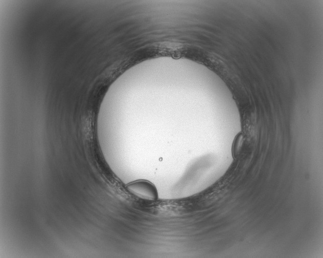 X0000074300468200609222339