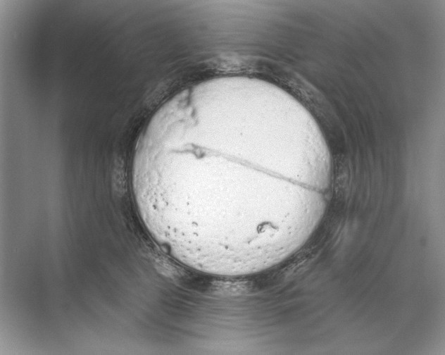 X0000074300469200609222339