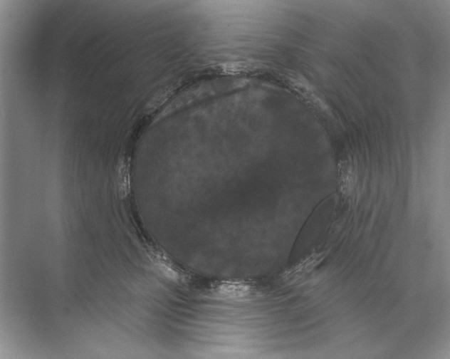 X0000074300471200609222339