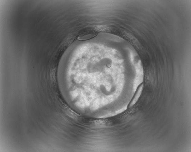 X0000074300473200609222339