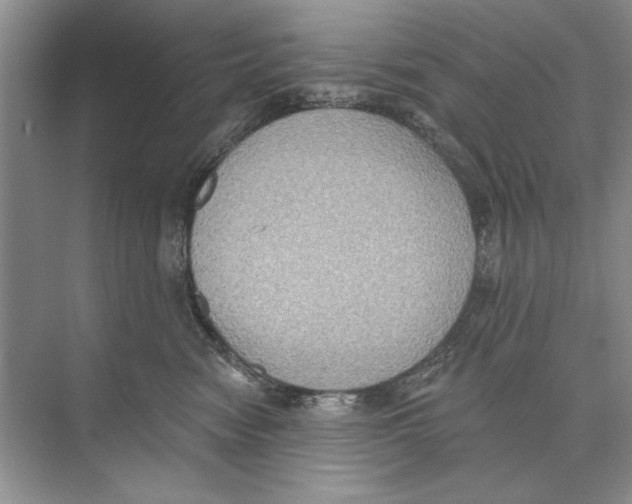 X0000074300474200609222339