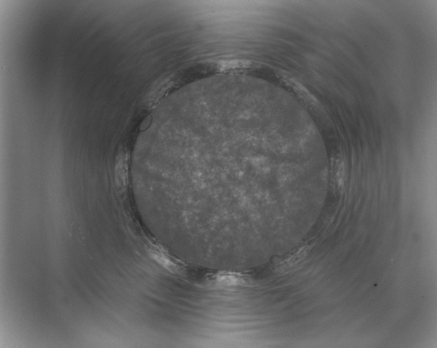 X0000074300475200609222339