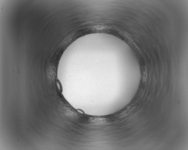 X0000074300476200609222339