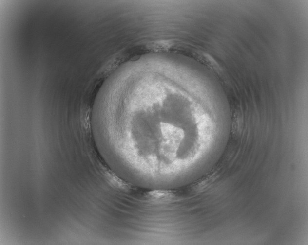 X0000074300477200609222339