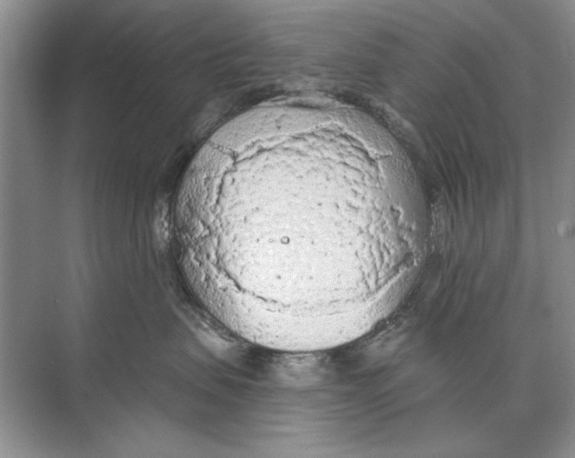 X0000074300479200609222339