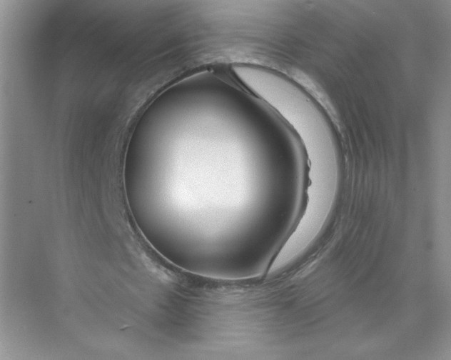 X0000074300481200609222339