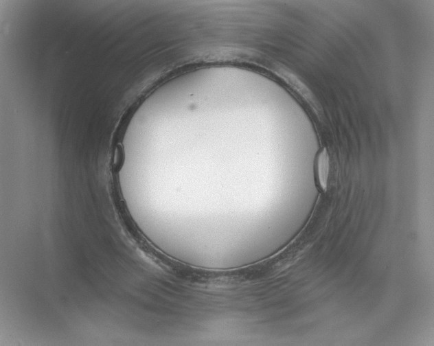 X0000074300485200609222339