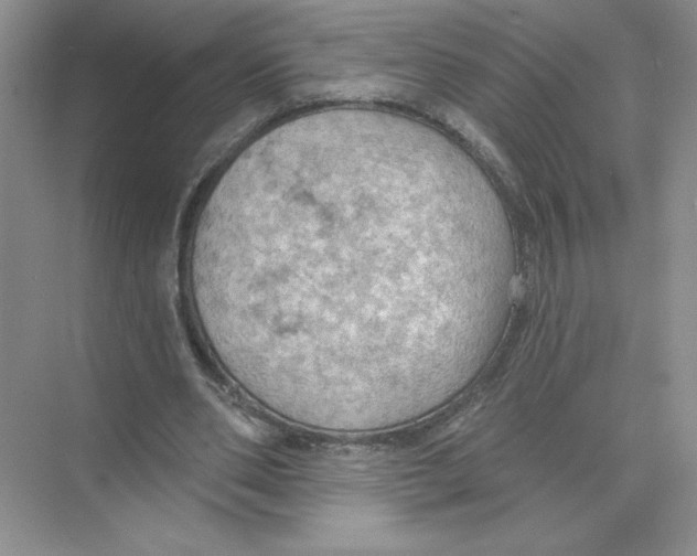 X0000074300486200609222339