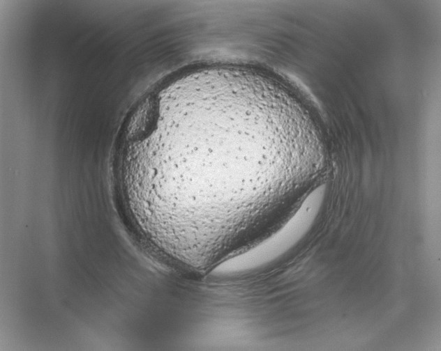 X0000074300487200609222339