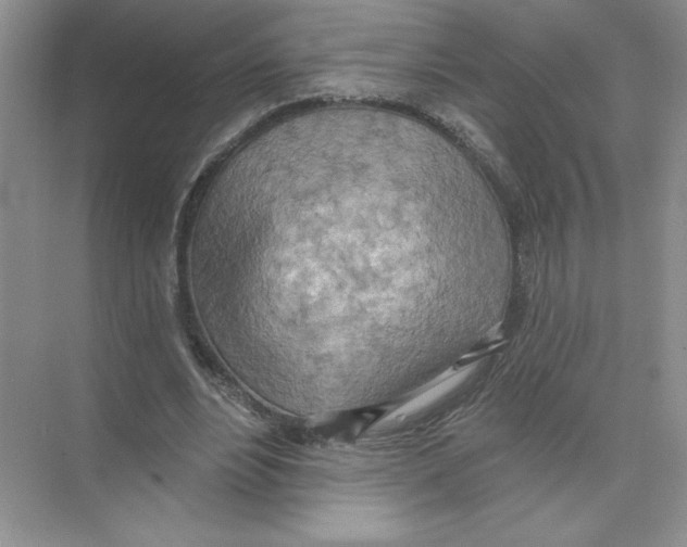 X0000074300488200609222339