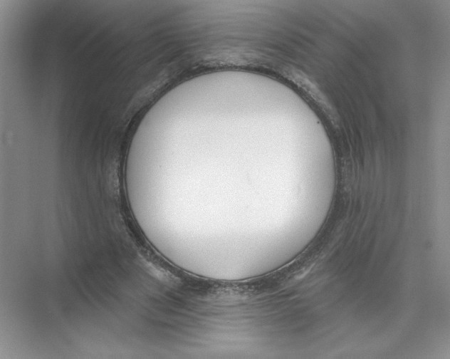 X0000074300489200609222339