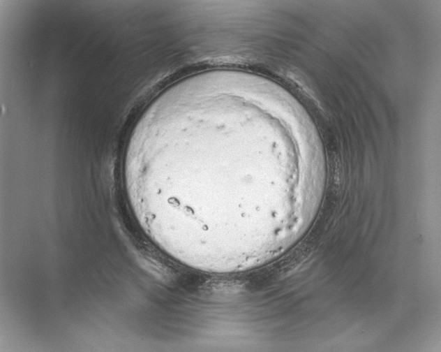 X0000074300491200609222339