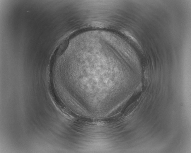 X0000074300492200609222339