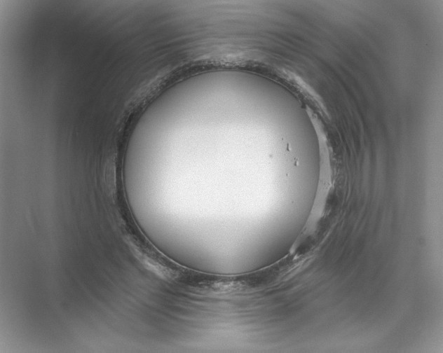 X0000074300493200609222338