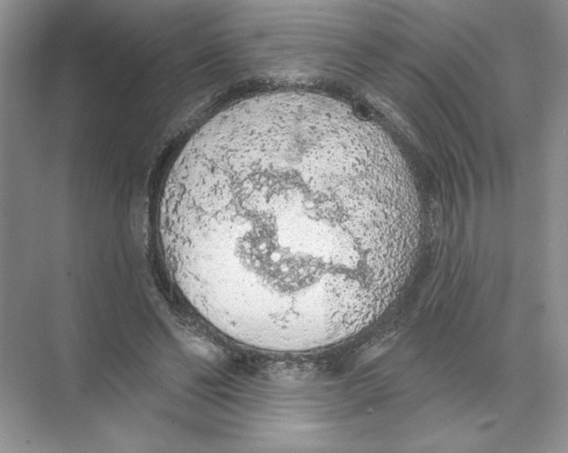 X0000074300494200609222338