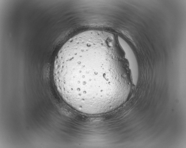 X0000074300495200609222338