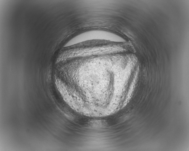 X0000074300499200609222338