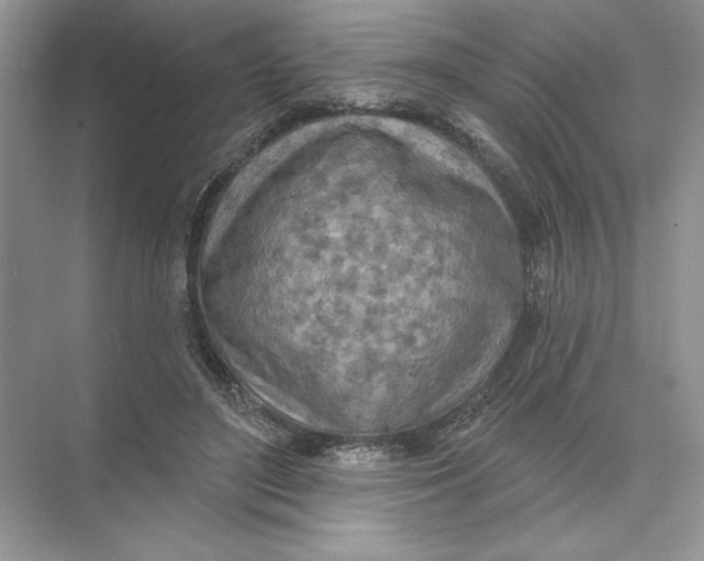 X0000074300500200609222338