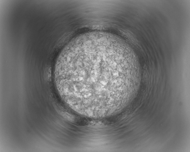 X0000074300502200609222338