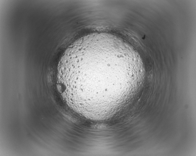 X0000074300503200609222338