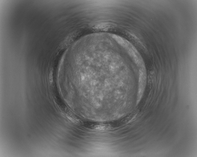 X0000074300504200609222338