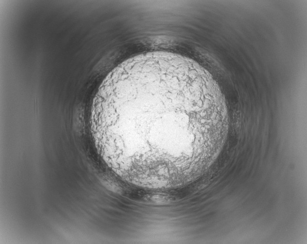 X0000074300506200609222338