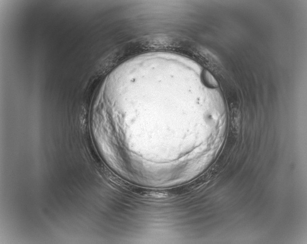 X0000074300507200609222338