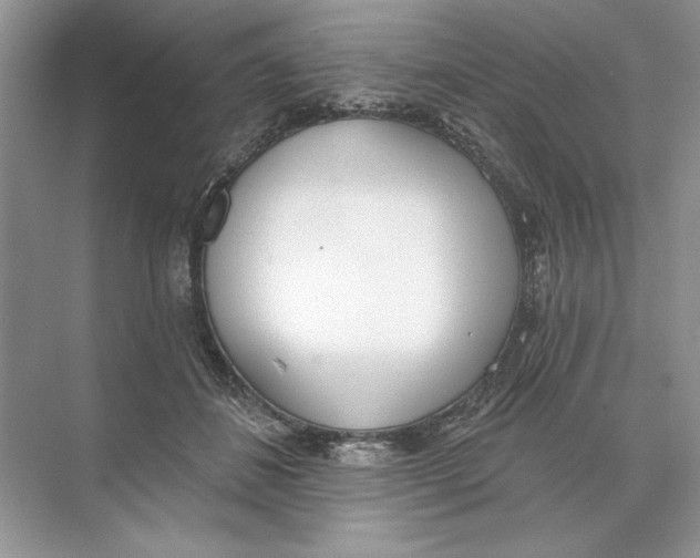 X0000074300508200609222338