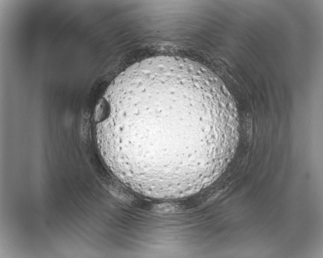 X0000074300511200609222338