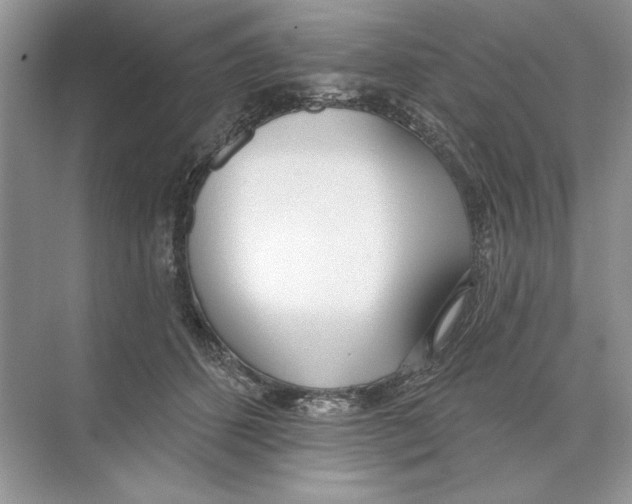 X0000074300512200609222338