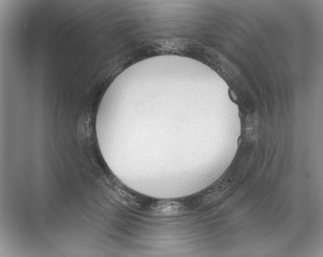 X0000074300514200609222338